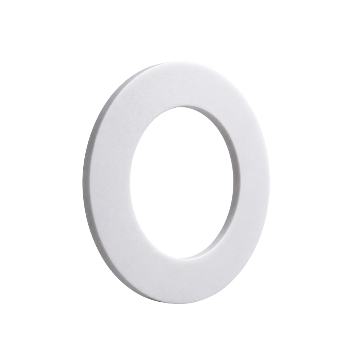 PTFE gasket